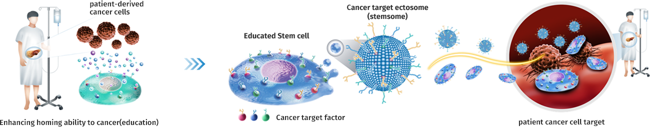 Developed technology to improve the ability to target stem cells