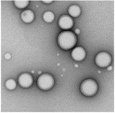 Polymer nanoparticle image3