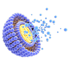 liposome nanoparticle image1